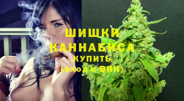 хмурый Корсаков
