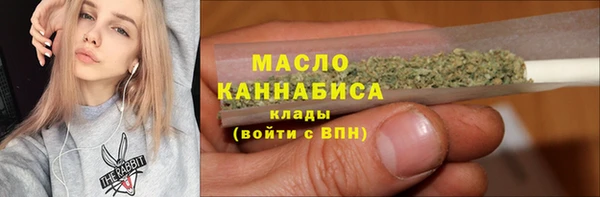 хмурый Аркадак
