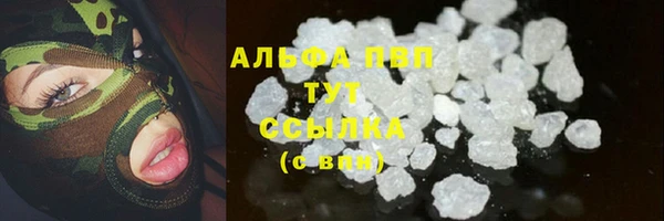 молекула духа Арсеньев