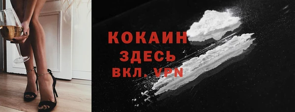 молекула духа Арсеньев