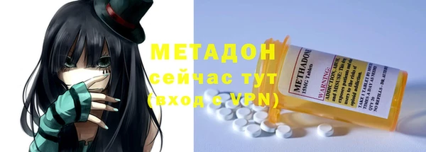 хмурый Аркадак