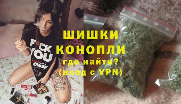хмурый Аркадак
