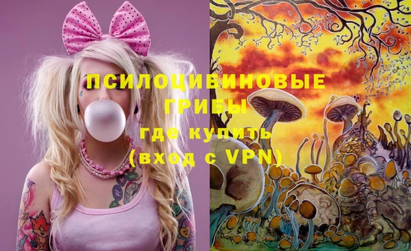 хмурый Аркадак