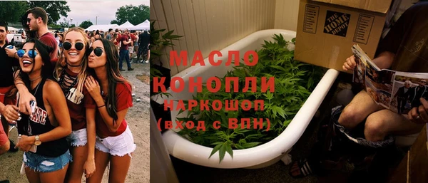 хмурый Аркадак