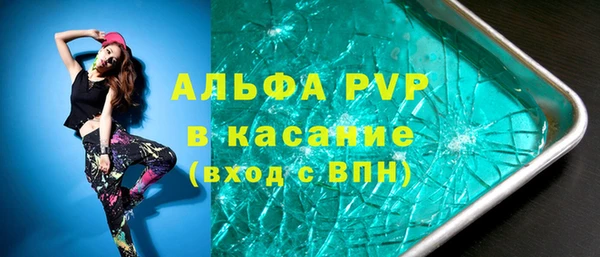 хмурый Аркадак