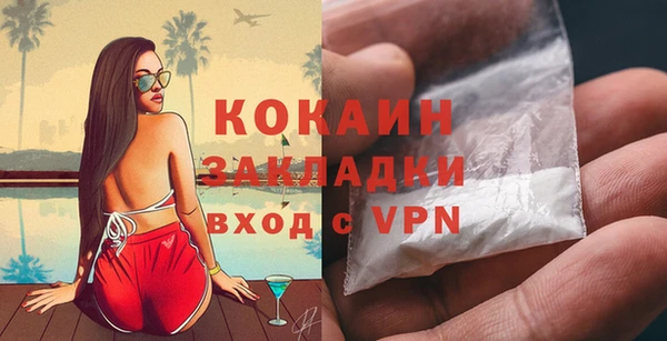 индика Коряжма