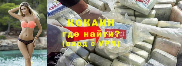 молекула духа Арсеньев