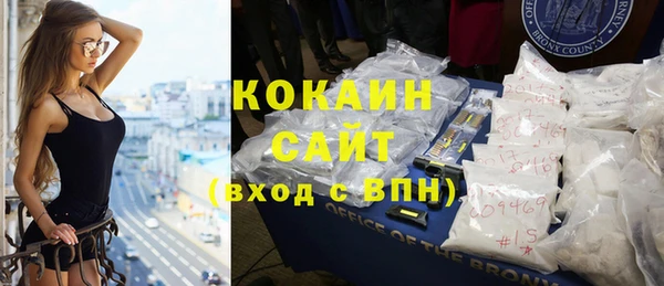 хмурый Аркадак
