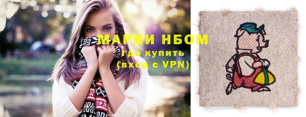 молекула духа Арсеньев