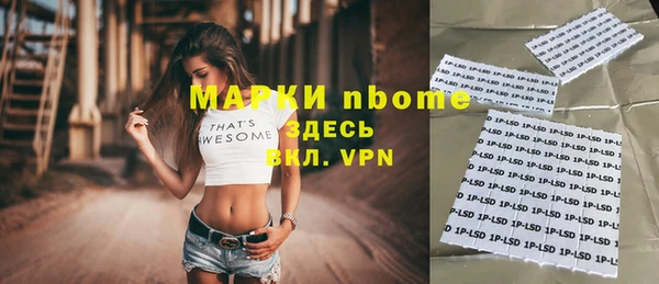 хмурый Аркадак
